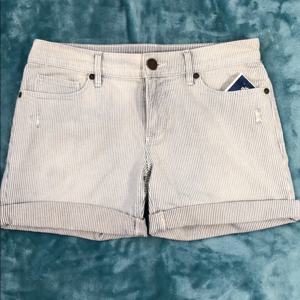 Loft shorts